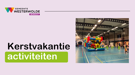 Nieuwsitems format website 